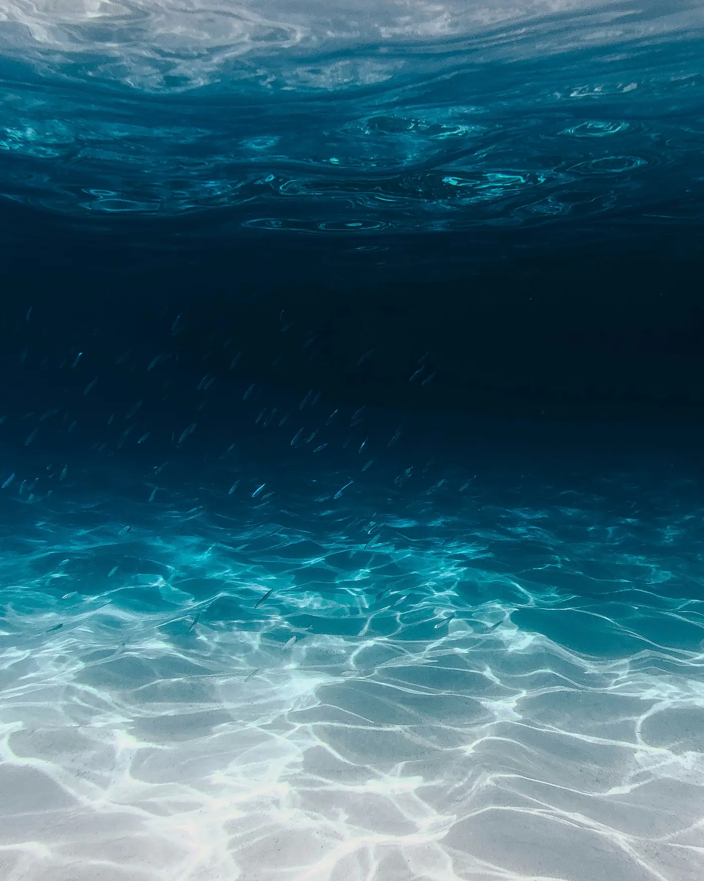 La superficie del mar vista desde dentro del agua, con el fondo de arena iluminado más abajo
